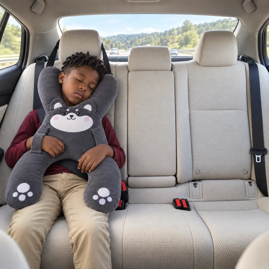 A boy asleep on the back seat with Niko the Husky