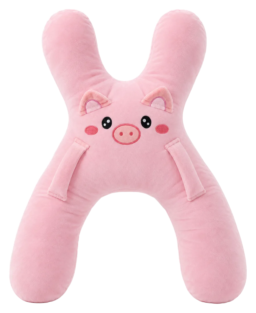 Ollie the Piggy SnuggoWay from the front