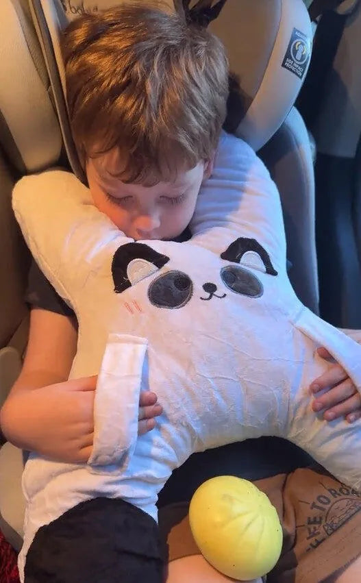 A boy asleep in the car hugging Bao the Panda, a customer photo