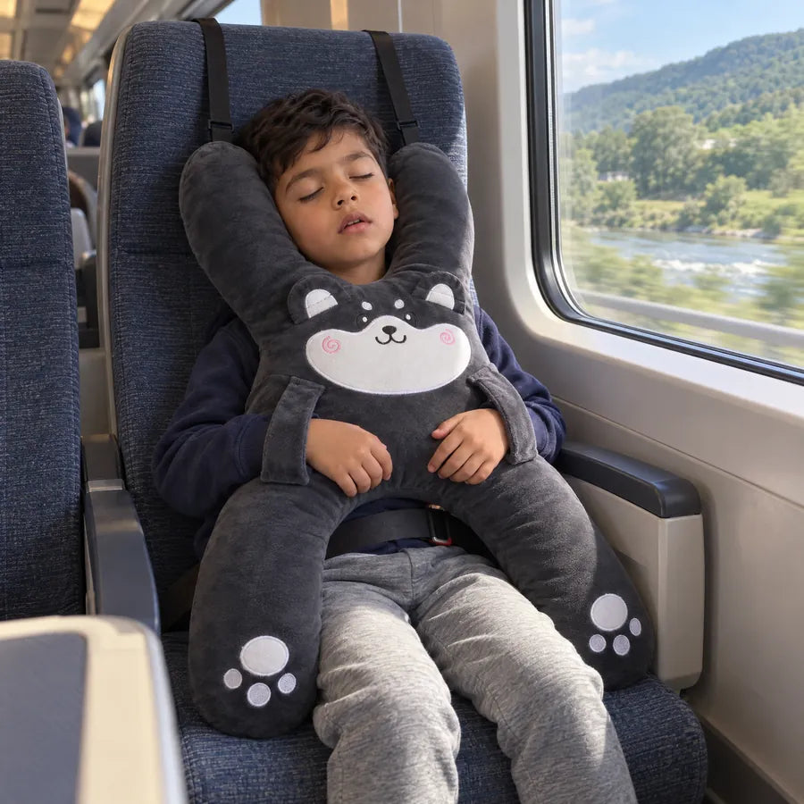 A boy asleep on a train with Niko the Husky